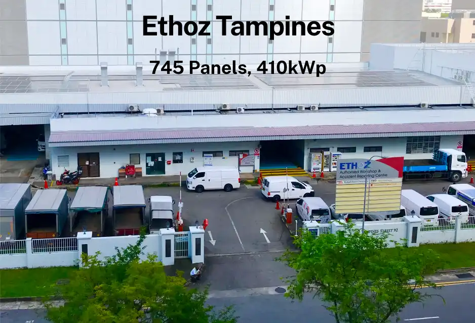 Ethoz Tampines