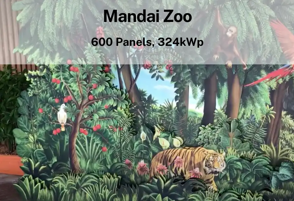 Mandai Zoo solar installation